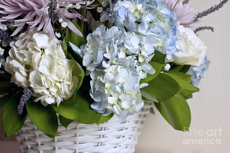 Blue and white hydrangea arrangement Photograph by Cindy Garber Iverson