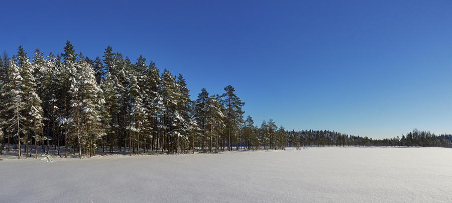 Blue And White Panorama Photograph