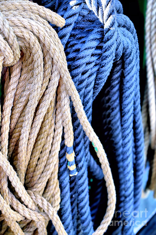 Blue and White Ropes Photograph by Elizabeth Dow