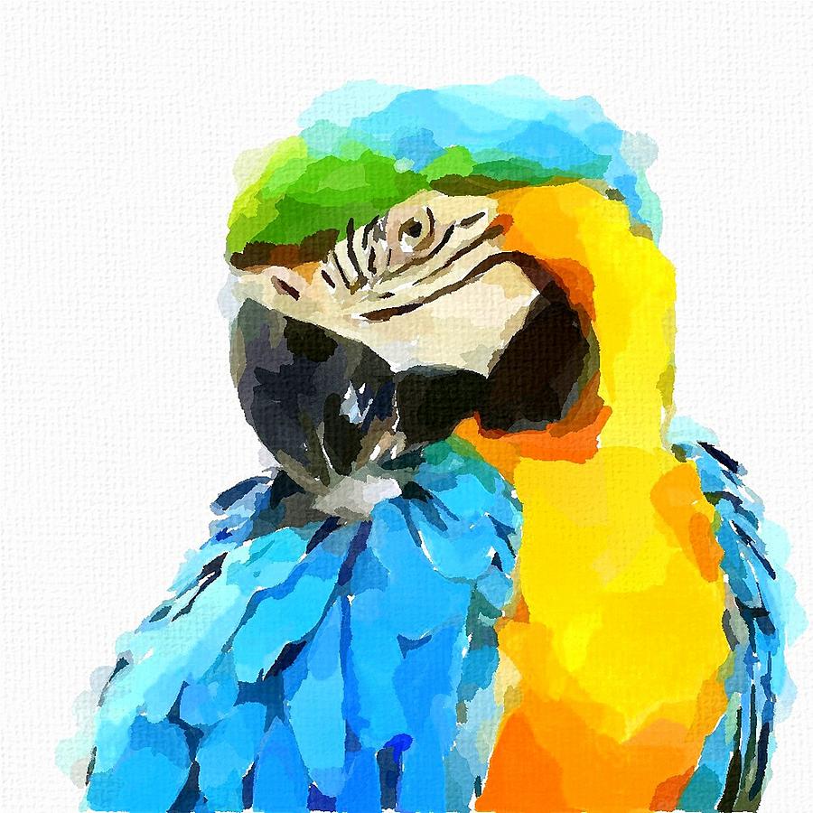 Blue and Yellow Macaw Painting by Chris Butler