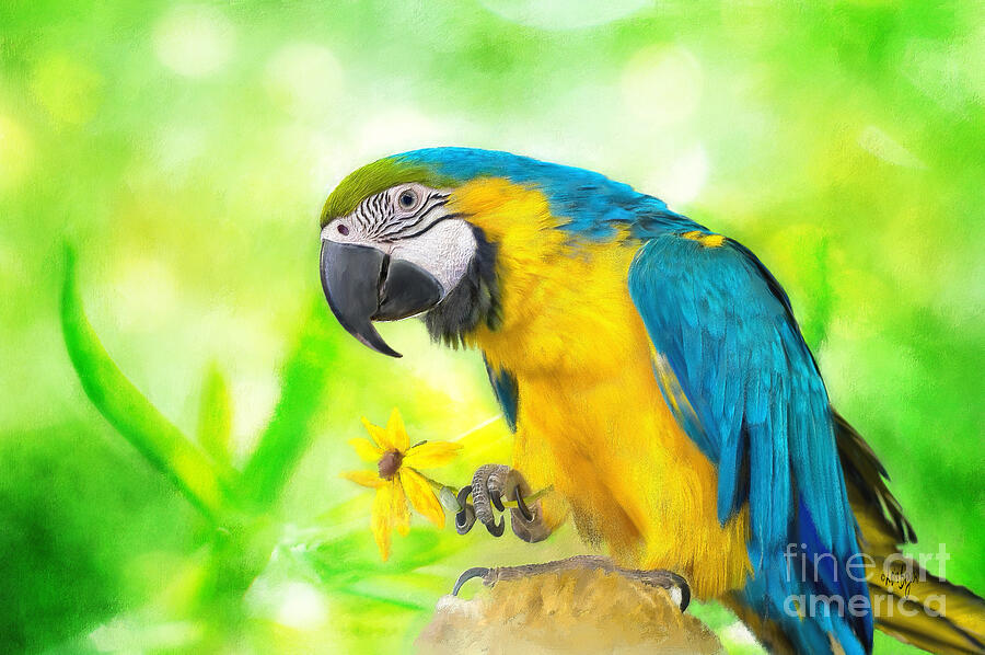 Blue And Yellow Macaw Digital Art by Lois Bryan