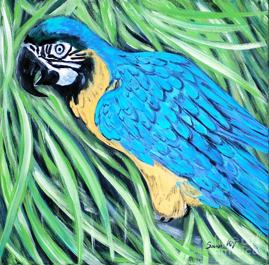 Blue and Yellow Macaw Painting by Oksana Semenchenko