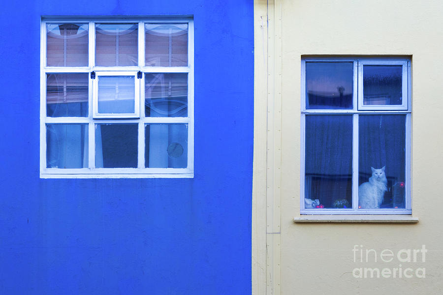 Blue and Yellow Windows Photograph by Jerry Fornarotto