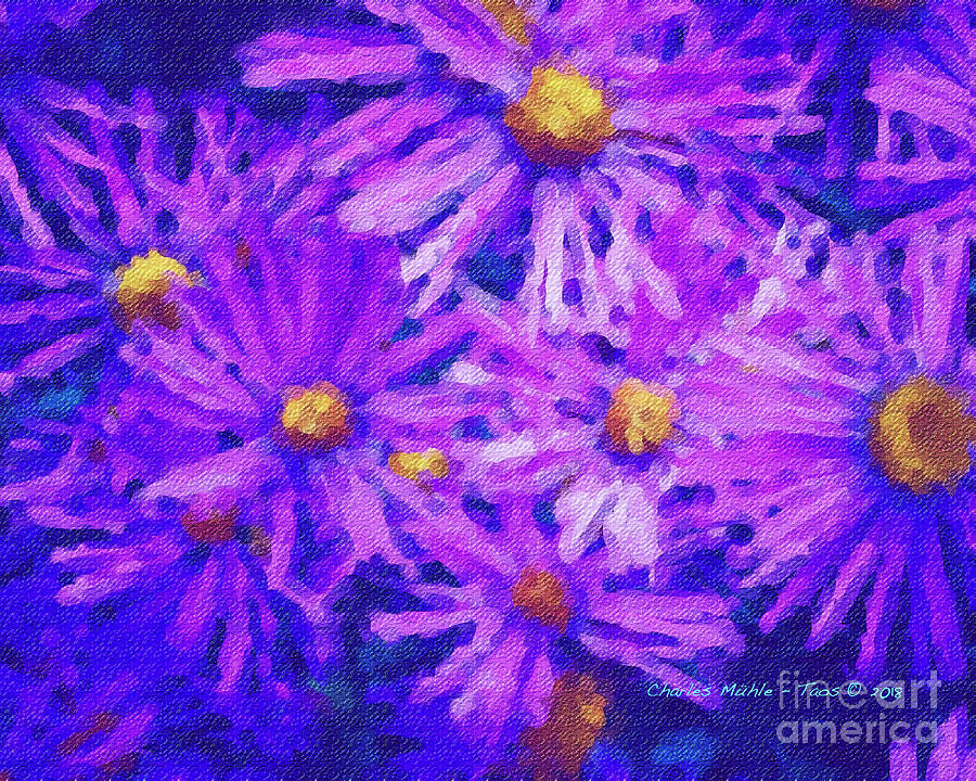 Blue Asters - watercolor Painting by Charles Muhle
