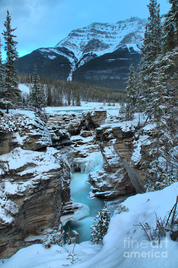 Blue Athabasca Falls Ice Flow Photograph by Adam Jewell