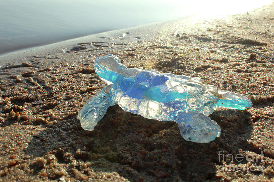 Blue Baby Sea Turtle from the Feral Plastic series by Adam Long  Sculpture by Adam Long
