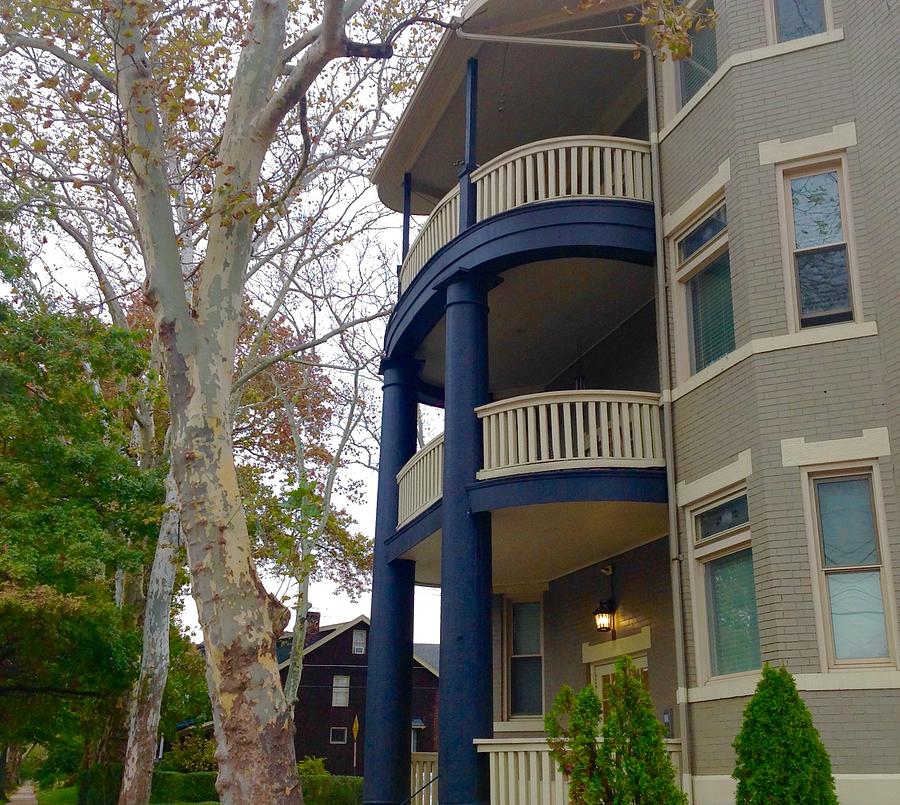 Blue Balconies At Ginko Tree Photograph