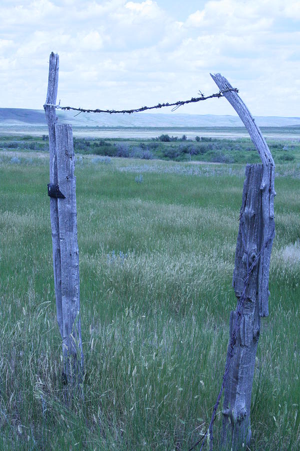 Blue BarbWire Photograph by Mary Mikawoz