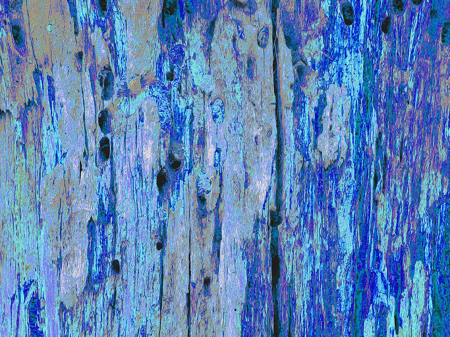 Nature Photograph - Blue Bark Oil by Stephanie Grant