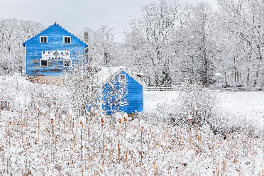 Blue Barns Photograph by Bill Wakeley