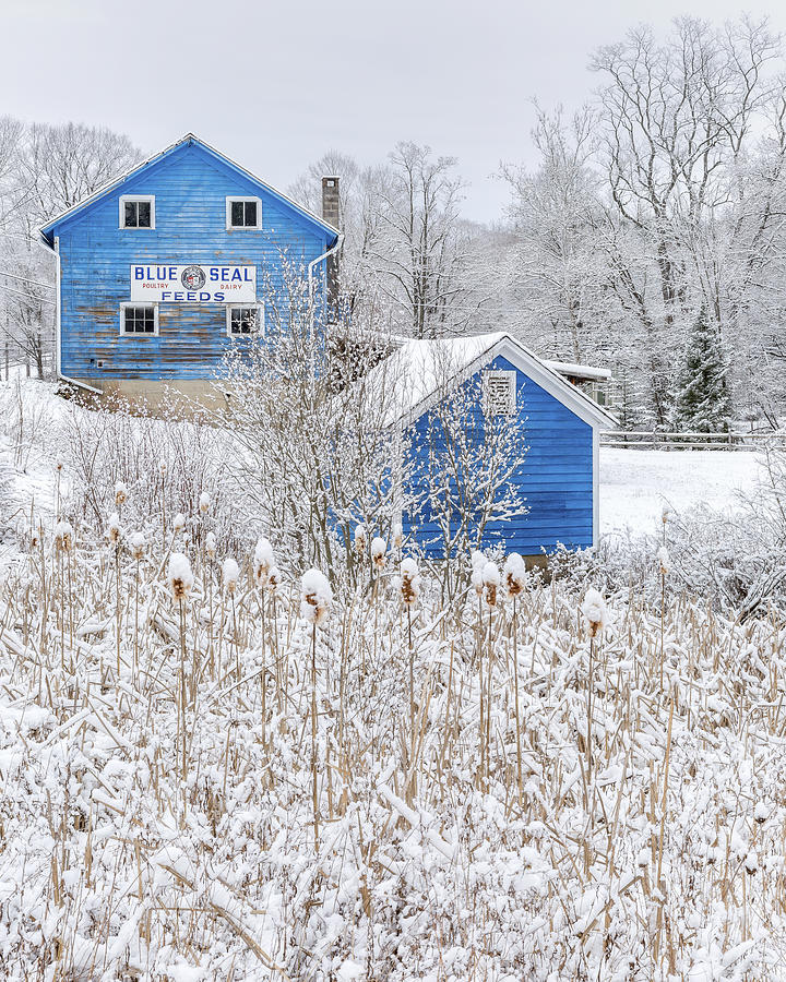 Blue Barns Portrait Photograph by Bill Wakeley