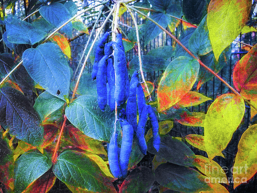 Blue Beans 3 Digital Art by Mona Stut