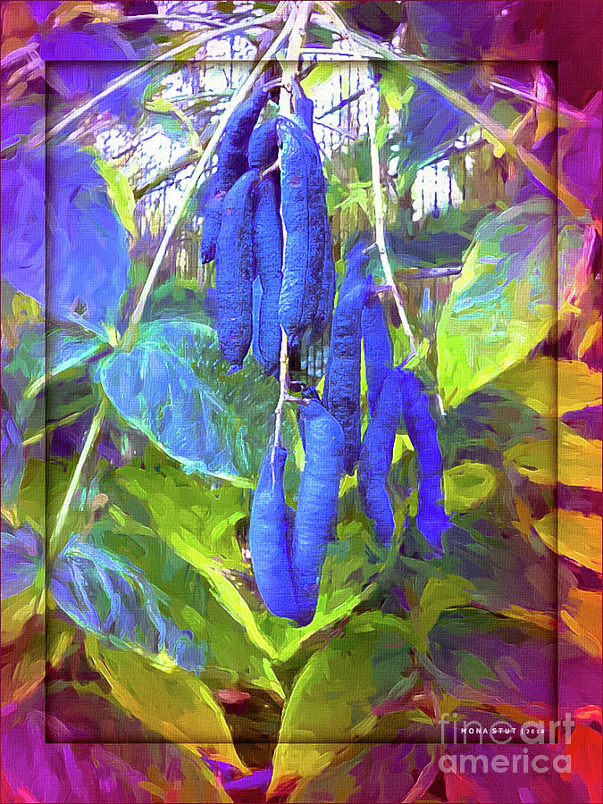 Blue Beans Color Mixed Media by Mona Stut