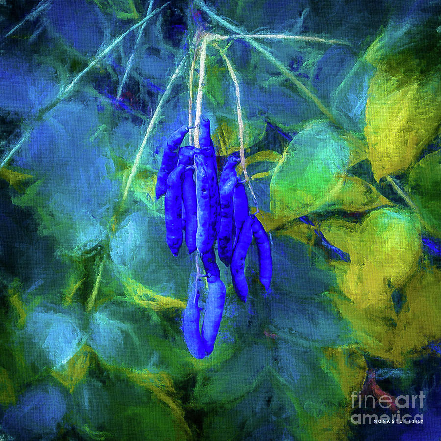 Blue Beans Digital Art by Mona Stut