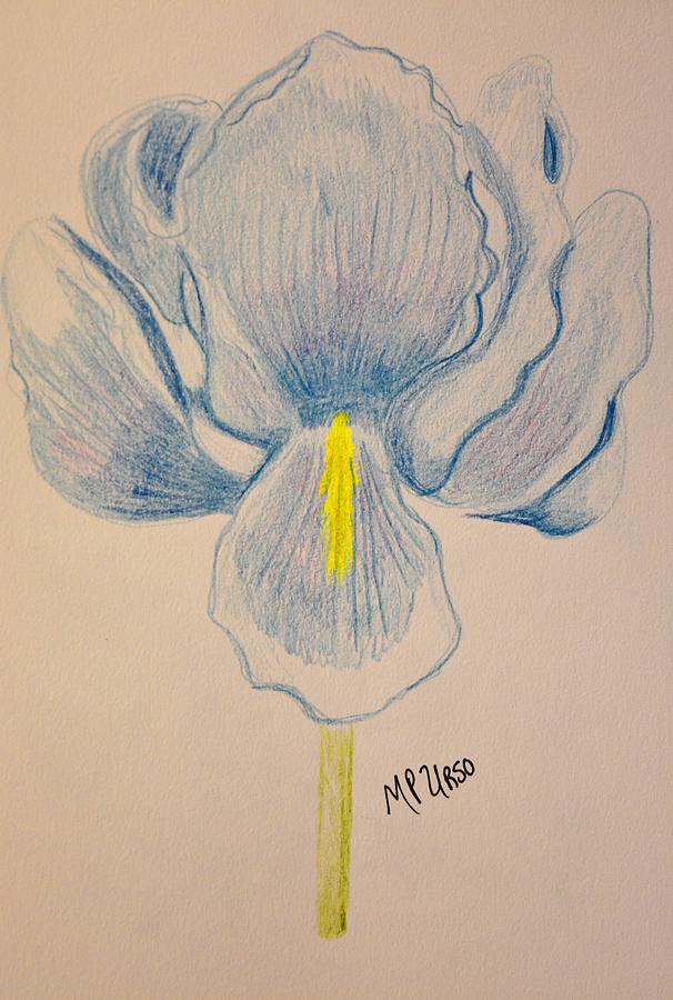 Blue Bearded Iris Pastel by Maria Urso
