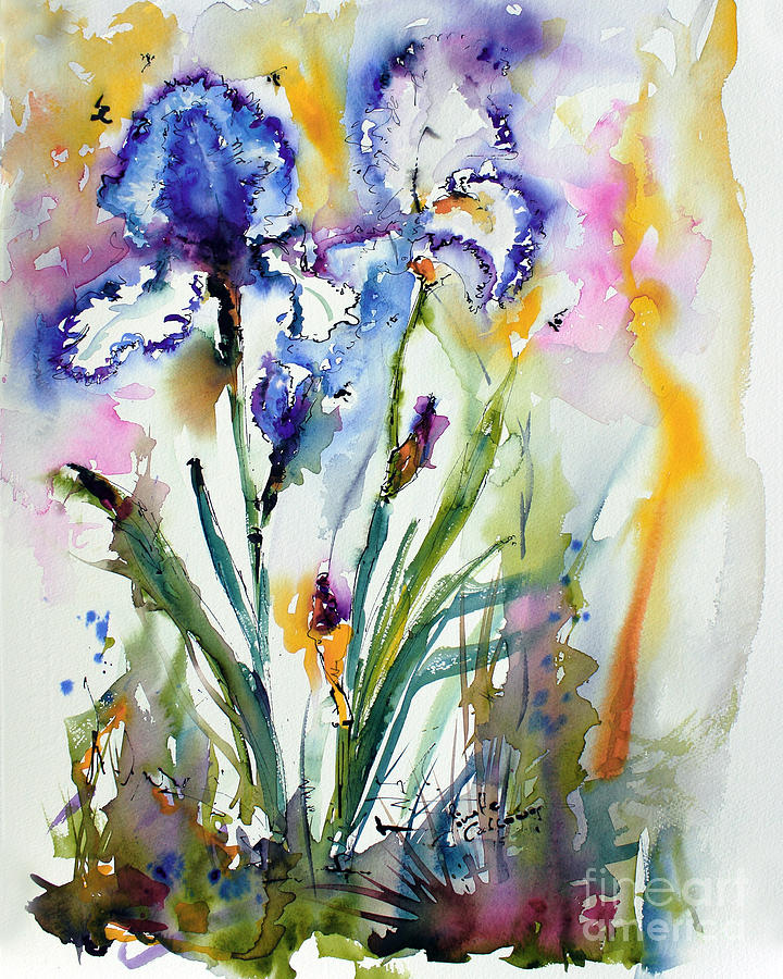 Blue Bearded Irises Flower Watercolor Painting by Ginette Callaway