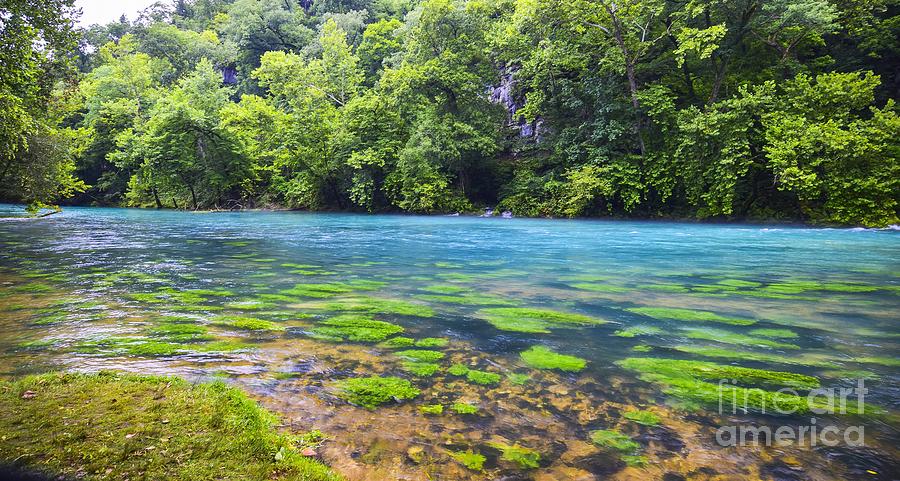 Blue Beauty  Big Springs  Photograph by Peggy Franz