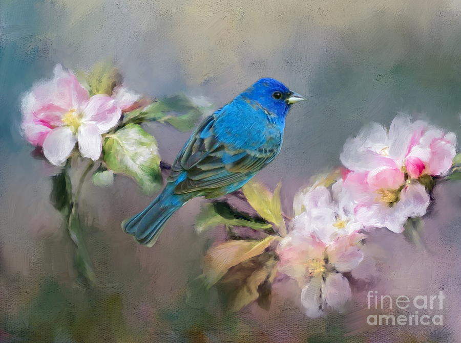 Blue Beauty in the flowers Photograph by Myrna Bradshaw - Fine Art America