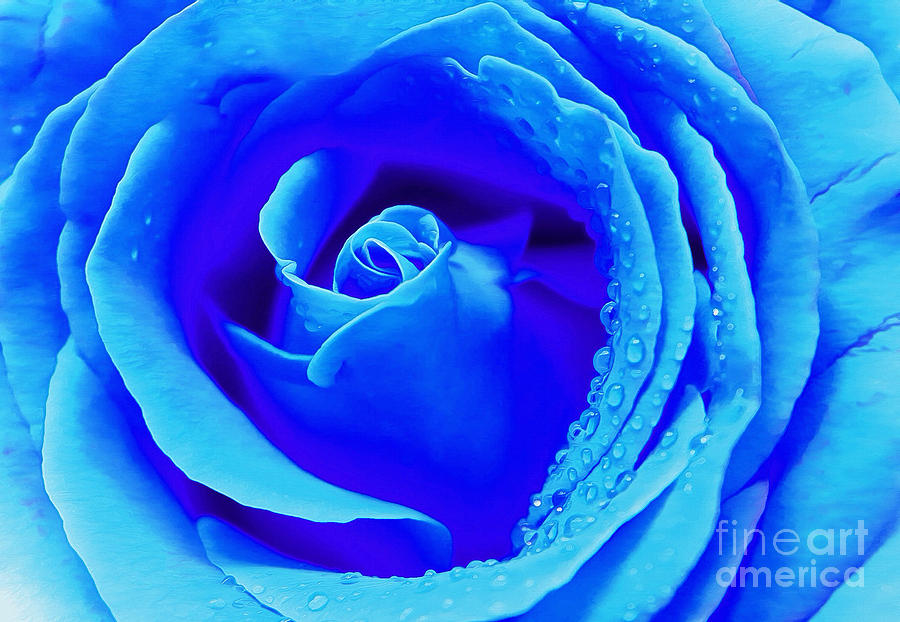 Flower Photograph - Blue Beauty by Krissy Katsimbras