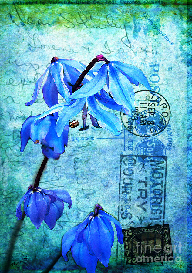 Flower Photograph - Blue Bells on Vintage 1936 Postcard by Nina Silver