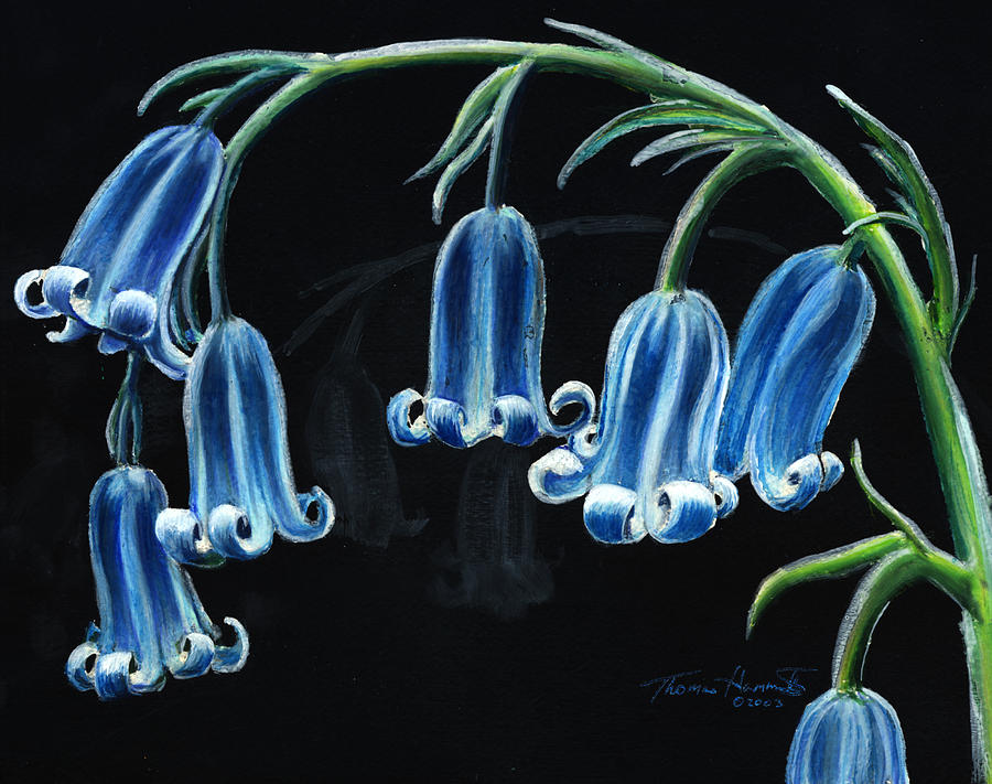 Blue Bells Painting by Thomas Hamm