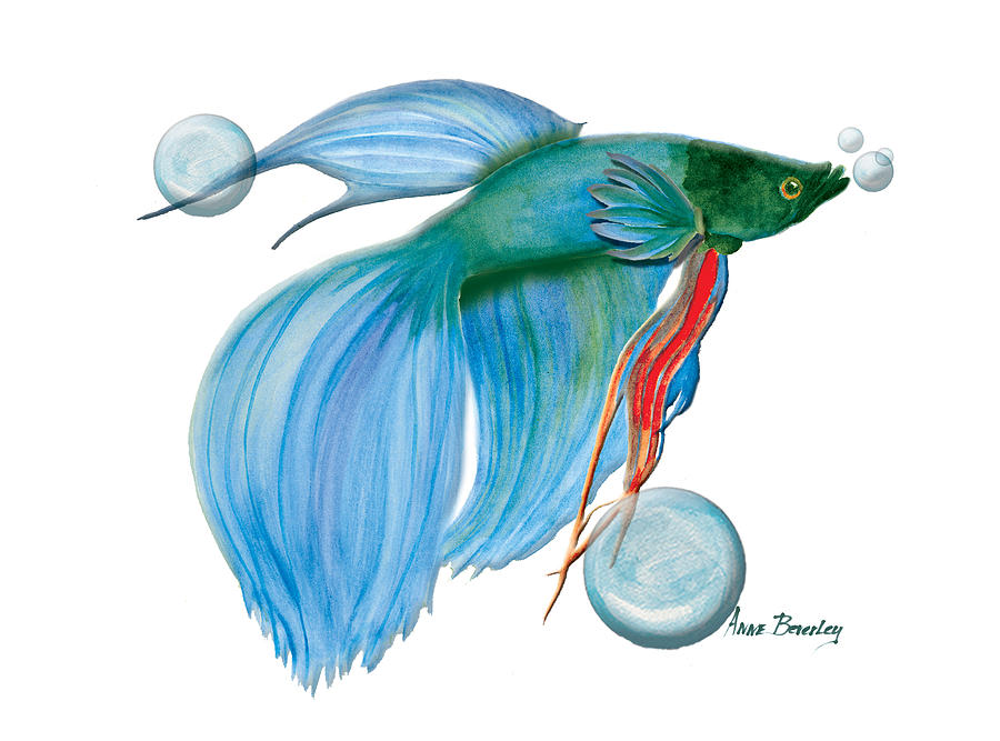 Blue Beta Fish Painting by Anne Beverley-Stamps