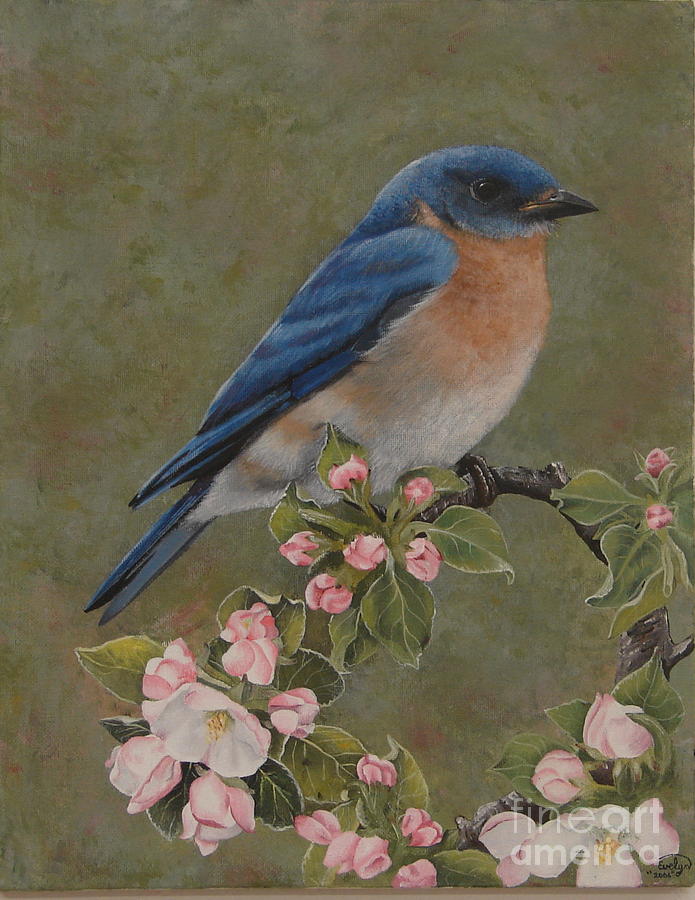 Blue Bird And Apple Bloosoms Painting by Evelyn Sanders