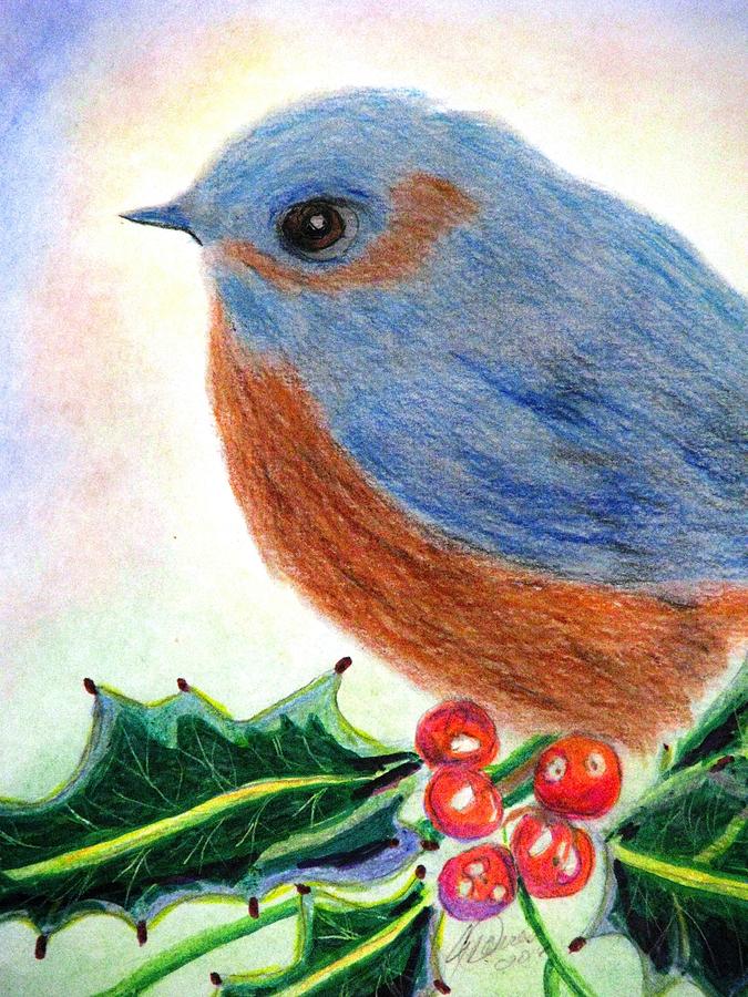 Christmas Drawing - Blue Bird In The Holly by Angela Davies