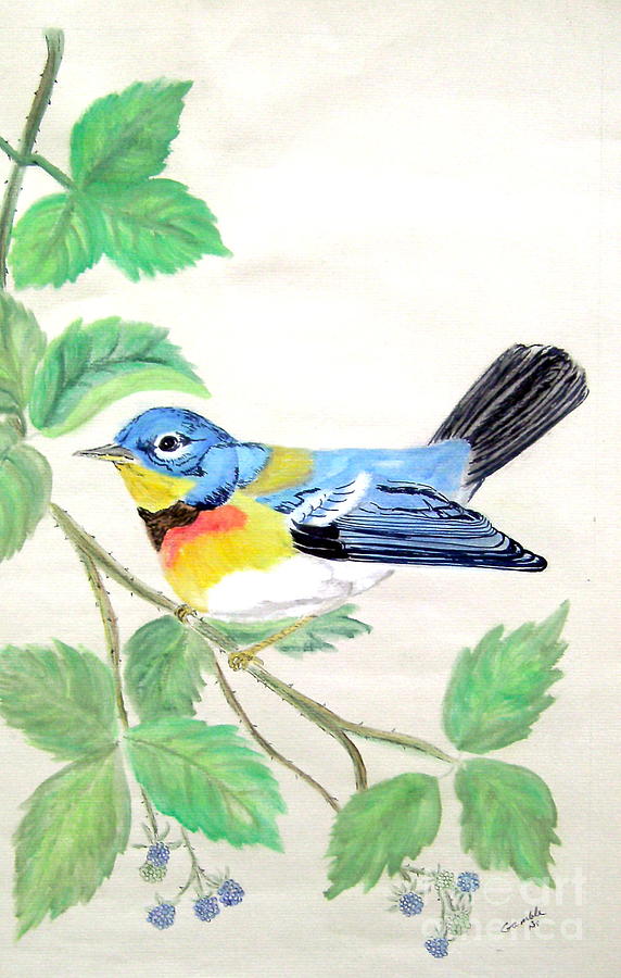 Bird Mixed Media - Blue Bird Of Happiness by Nancy Rucker