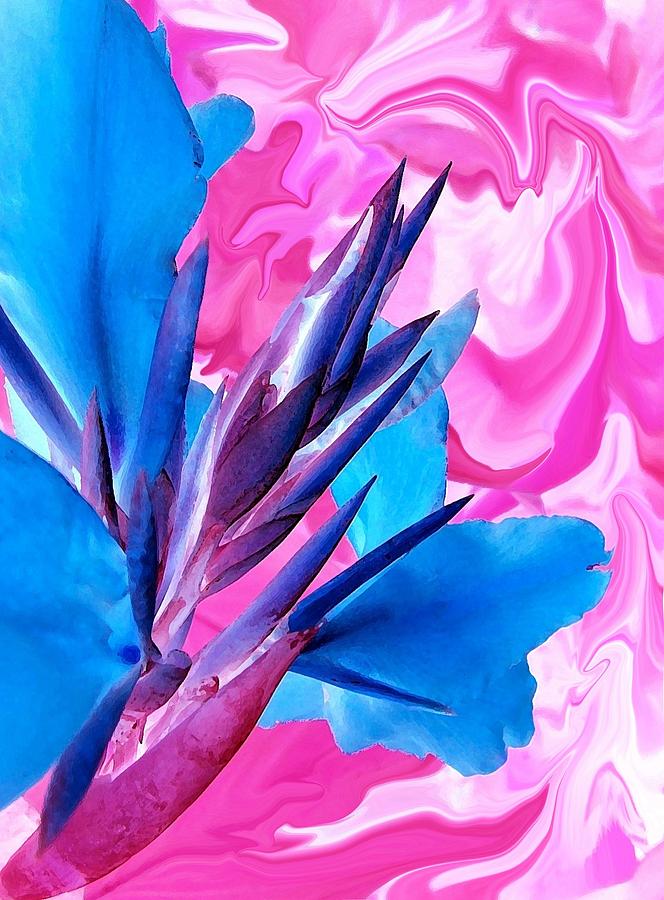 Flowers Still Life Photograph - Blue Bird of Paradise by Jim  Darnall