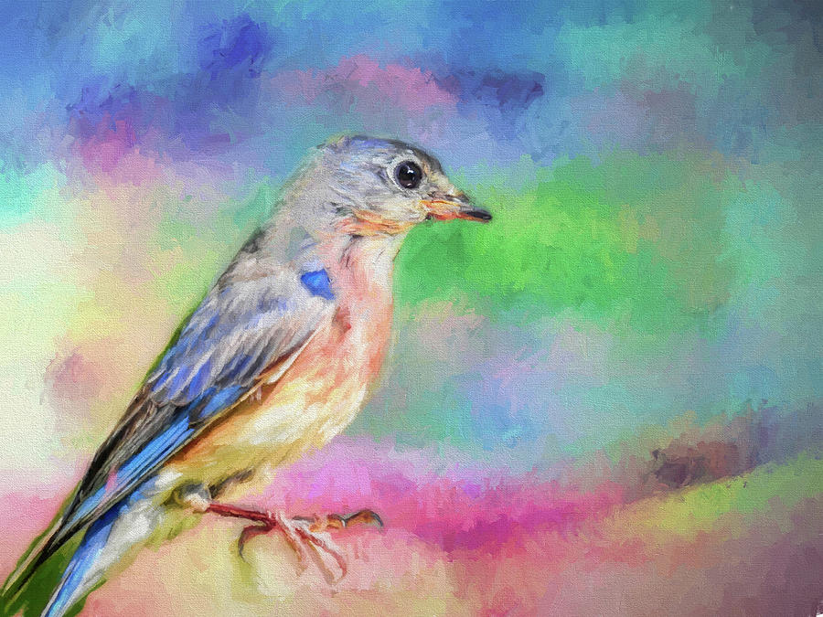 Blue Bird on Color Painting by Ches Black