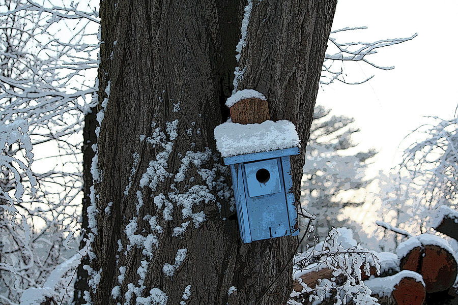 Blue in Winter - altered Photograph by Aggy Duveen