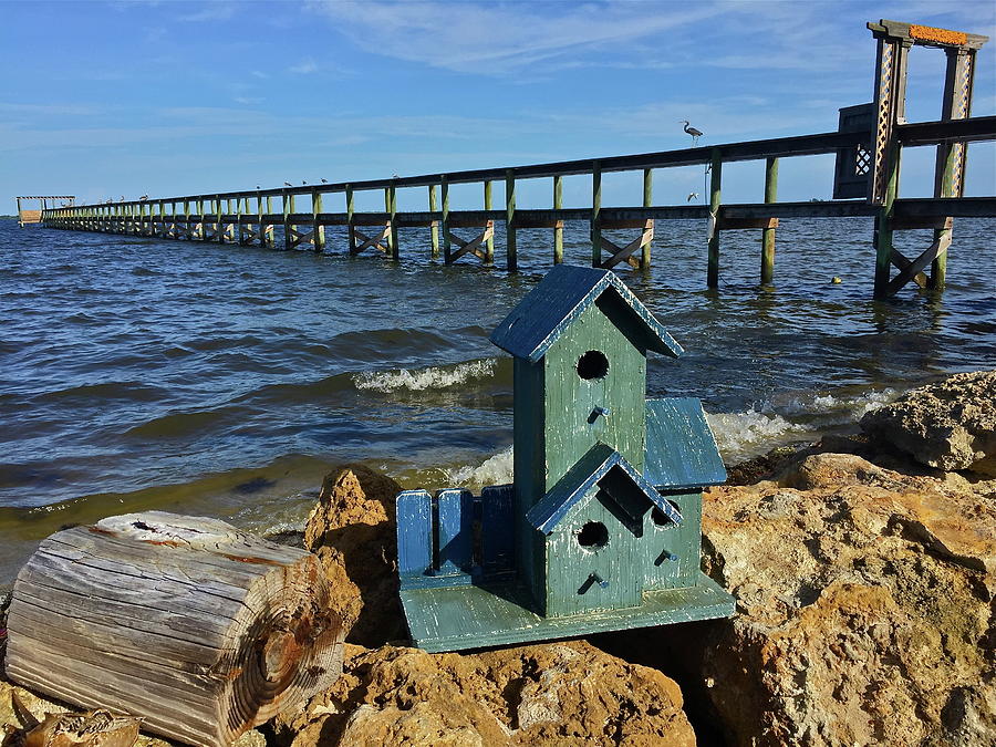 Blue Birdhouse By The River Photograph by Denise Mazzocco