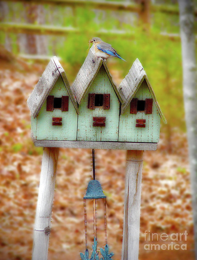 Blue Birds Castle Photograph by Laura Brightwood