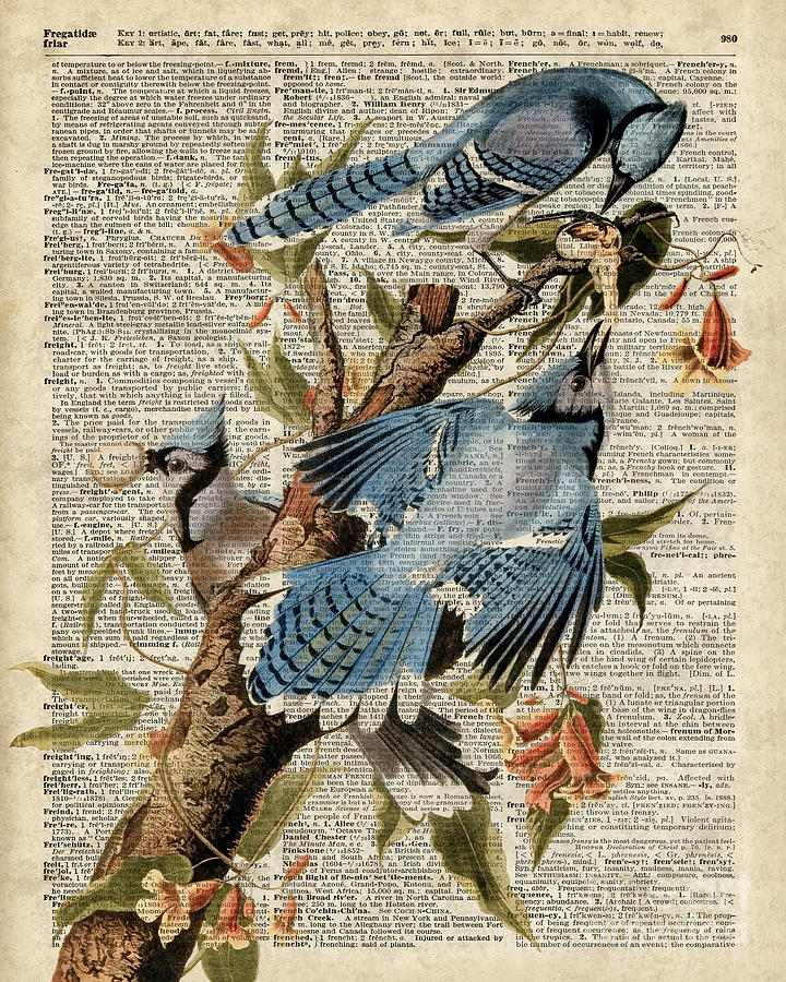 Blue Birds Digital Art - Blue Birds Vintage Illustration Dictionary Art by Anna W