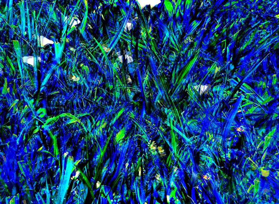 Blue Blades of Grass by Darlene Evonne Blue Blades of Grass by Darlene Evonne