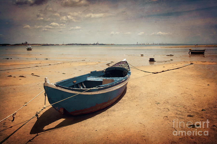Nature Photograph - Blue Boat by Carlos Caetano