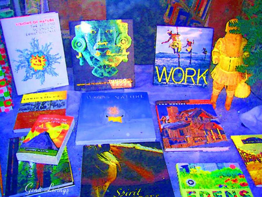 Blue Book Display Photograph by Gena Livings