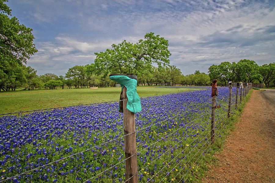 Blue Boots and Bluebonnets on the Willow City Loop Photograph by Lynn Bauer