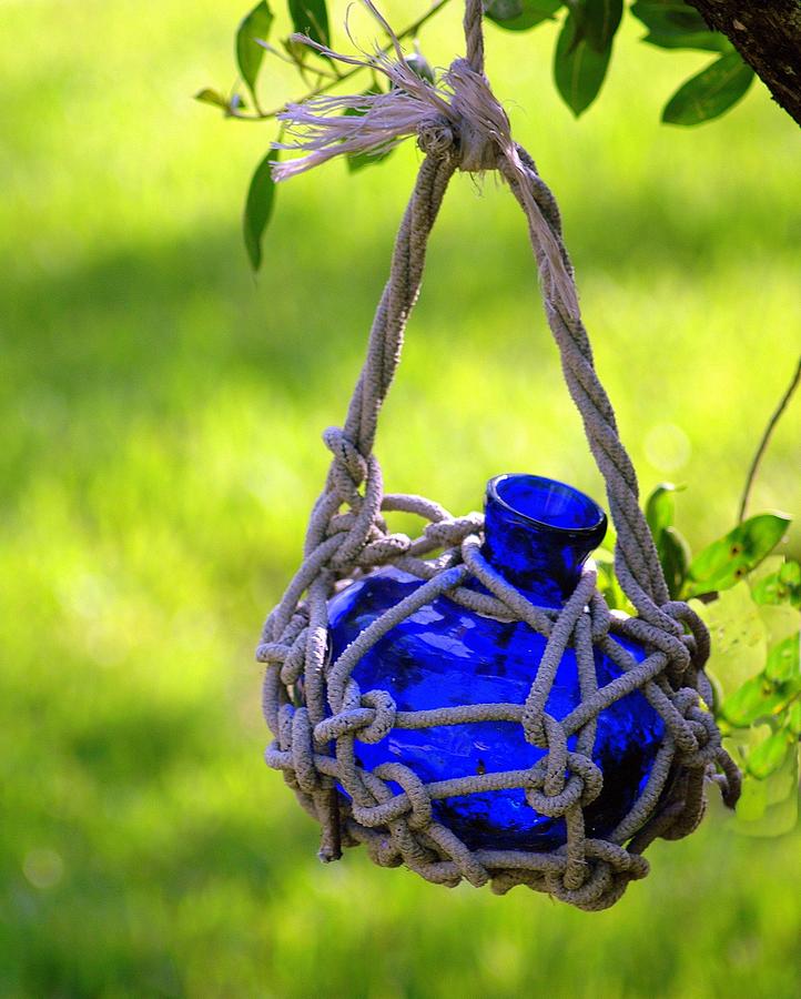 Small Blue Bottle Garden Art Photograph by Ginger Wakem