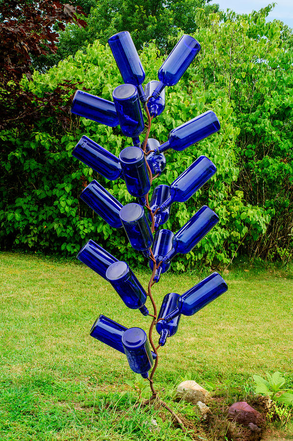 Blue Bottle Tree 1 Photograph by Douglas Barnett