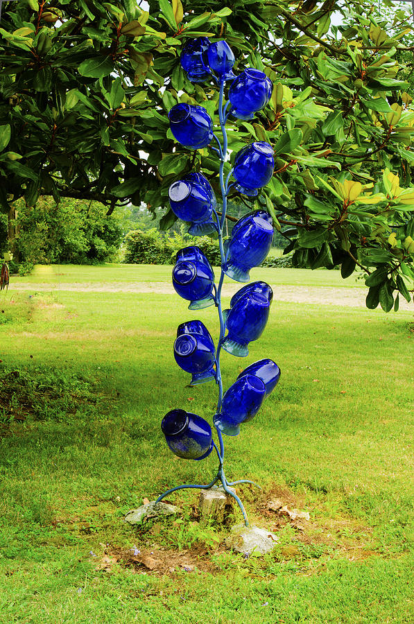 https://images.fineartamerica.com/images/artworkimages/mediumlarge/1/blue-bottle-tree-with-magnolia-tree-douglas-barnett.jpg