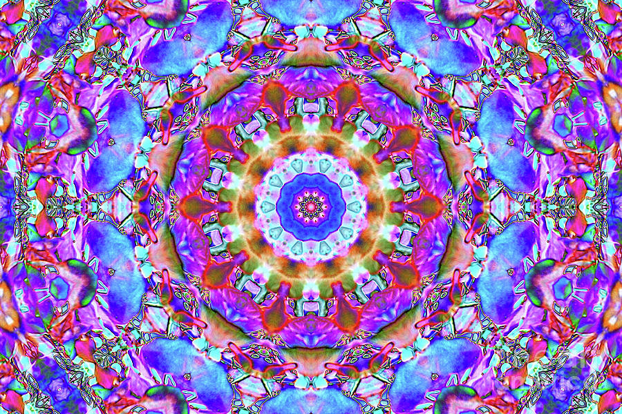 Blue Branches Kaleidoscope Digital Art by Donna L Munro