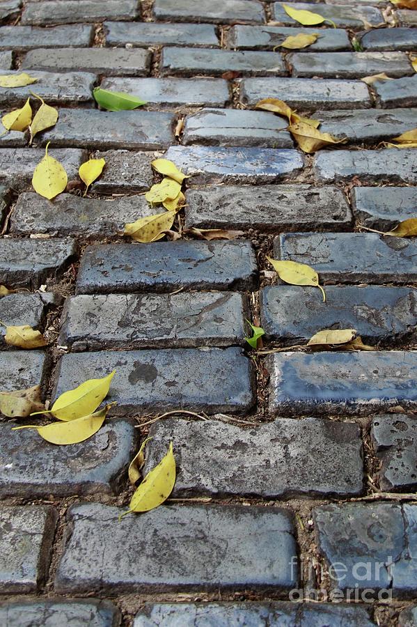 Blue Bricks With Yellow 2 Photograph by Suzanne Oesterling