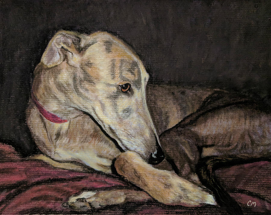 Blue Brindle Pastel By Carol Motsinger