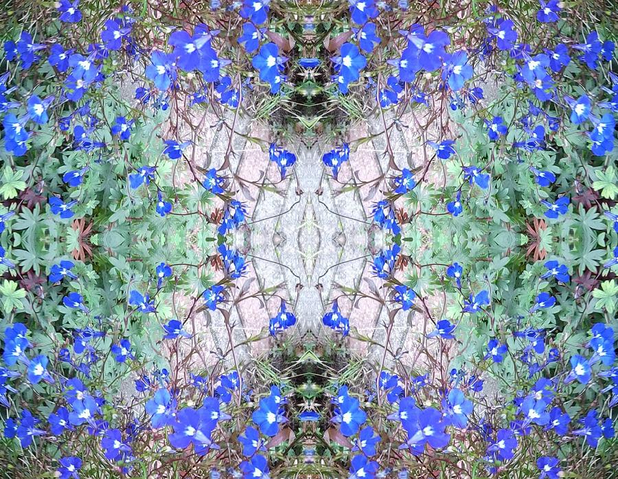 Blue Bush Flower Crystal Wings Fractal Photograph by Julia Woodman