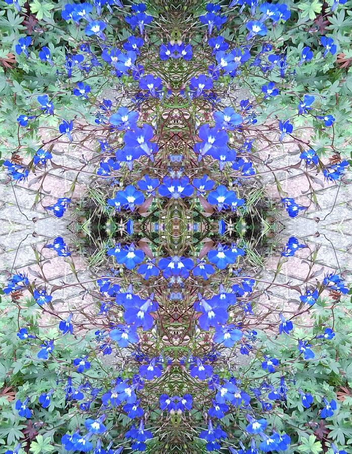 Blue Bush Flower Fractal Heart 2 Photograph by Julia Woodman