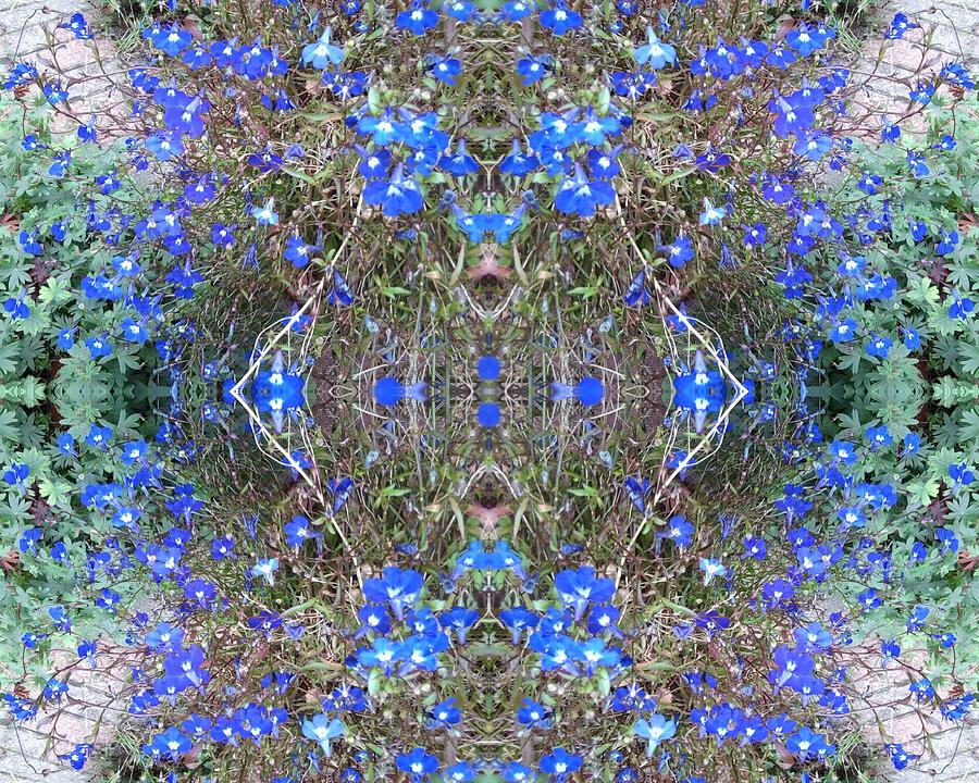 Blue Bush Flower Fractal Heart 4 Photograph by Julia Woodman