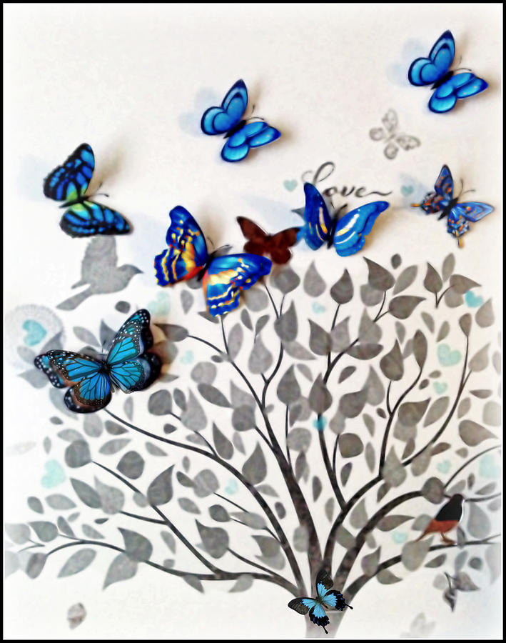 Blue Butterflies Photograph by Catherine Melvin - Fine Art America