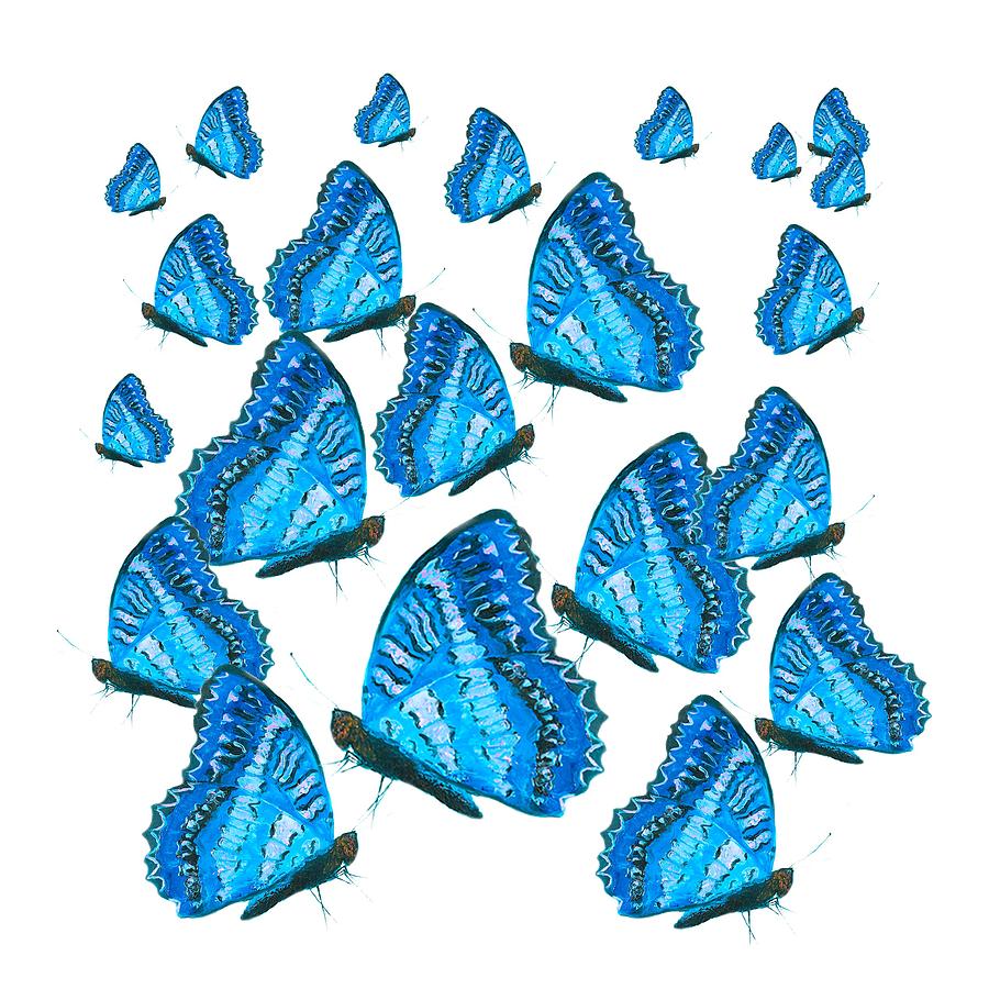 Blue Butterflies Painting by Jan Matson